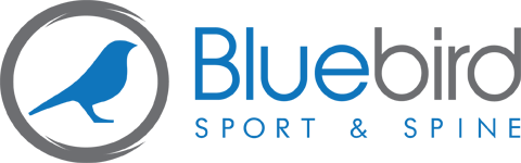 Bluebird Sport and Spine